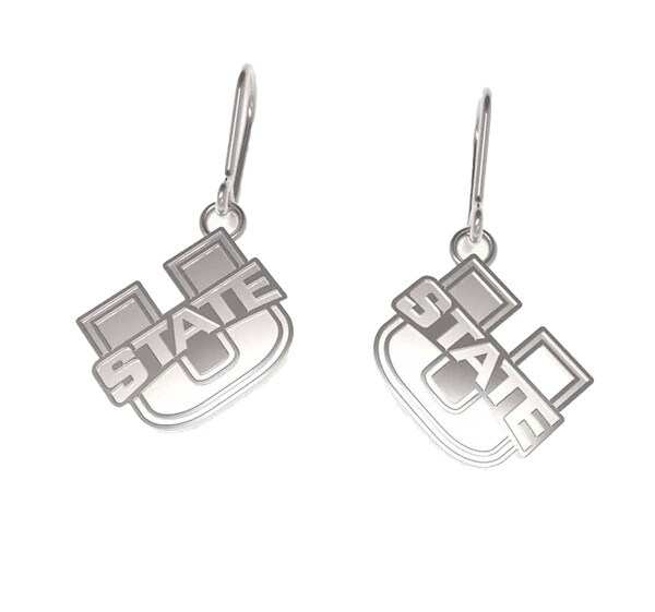 U-State Stainless Steel Silver Earrings Dangle